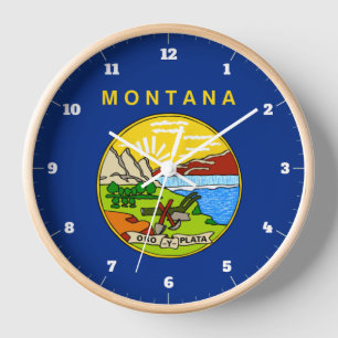MONTANA STATE FLAG