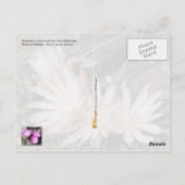 Montana State Flower: Bitterroot Briefkaart (Achterkant)