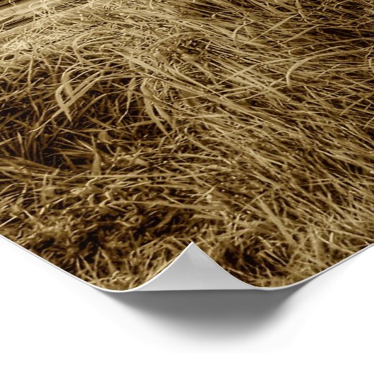 MONTANA STEAM TRACTOR POSTER (Hoek)