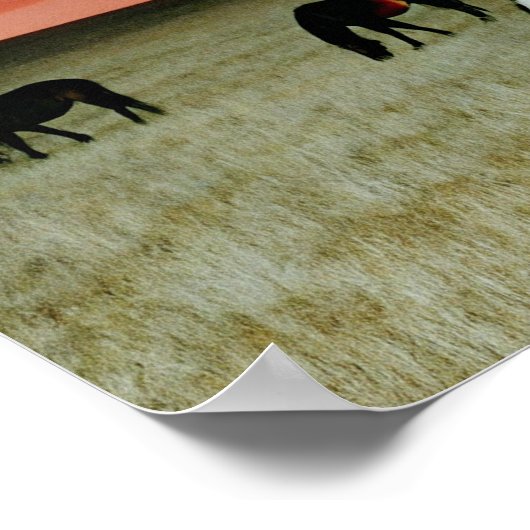 Montana Sunset Poster (Hoek)