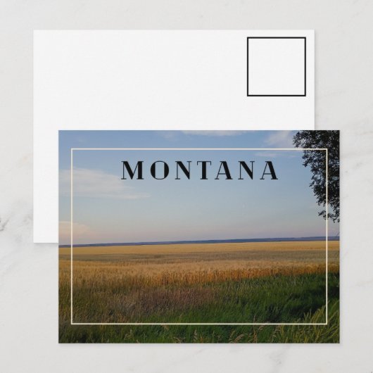 Montana Tarwe Zonsondergang Briefkaart (Voorkant / Achterkant)