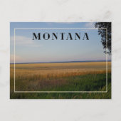 Montana Tarwe Zonsondergang Briefkaart (Voorkant)