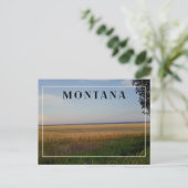 Montana Tarwe Zonsondergang Briefkaart (Staand voorkant)