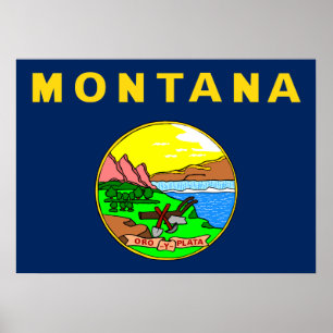 Montana vlag poster
