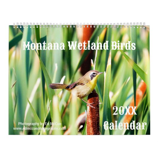 Montana Wetland Birds Kalender (Hoes)