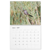 Montana Wetland Birds Kalender (Mar 2027)