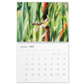 Montana Wetland Birds Kalender (Jan 2027)