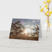 Montana Wheat Kaart (Gele Bloem)