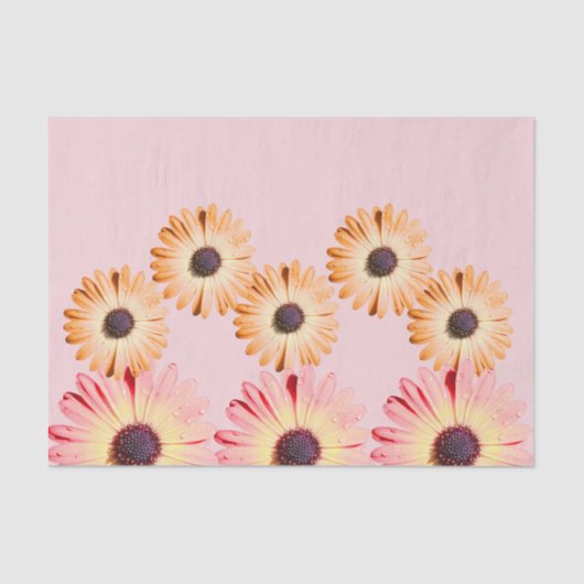 Montana wilde bloemen in roze weefsel papier (Voorkant)