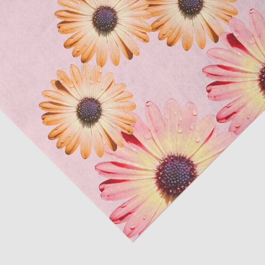 Montana wilde bloemen in roze weefsel papier (Detail)