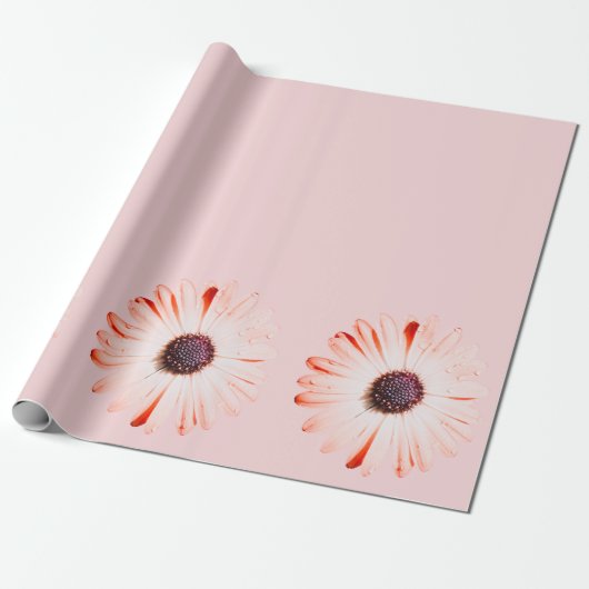 Montana Wildflowers in het roze Cadeaupapier (Uitgerold)