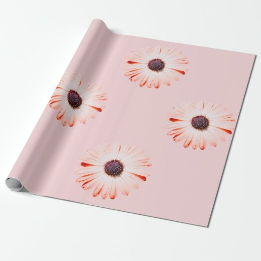 Montana Wildflowers in roze inpakpapier (Uitgerold)