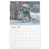 Montana Wildlife Kalender (Feb 2026)