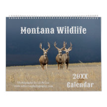 Montana Wildlife