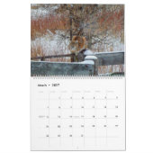 Montana Wildlife Kalender (Mar 2027)