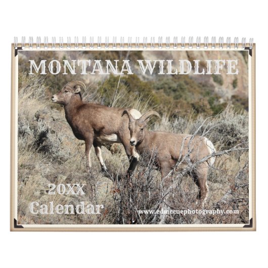Montana Wildlife Kalender (Hoes)