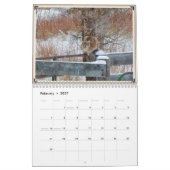 Montana Wildlife Kalender (Feb 2027)
