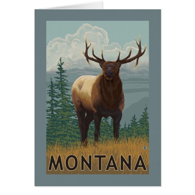 MontanaElk Scene (Voorkant)