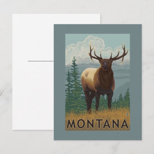 MontanaElk Scene Briefkaart (Voorkant / Achterkant)