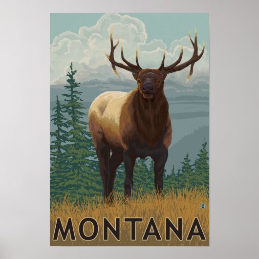 MontanaElk Scene Poster (Voorkant)