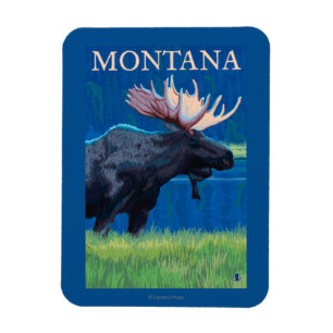 MontanaMoose Vintage Travel Poster Magneet
