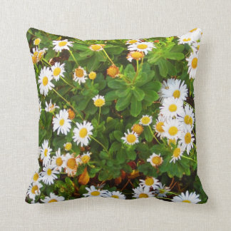 Montauk Daisies decoratief werpt kussen