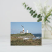 MONTAUK Lighthouse Seagull Love Briefkaart (Staand voorkant)