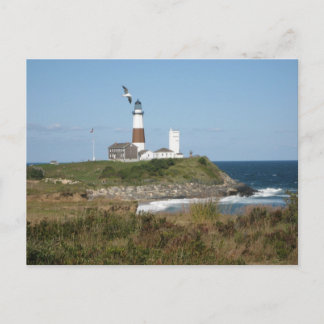 MONTAUK Lighthouse Seagull Love Briefkaart