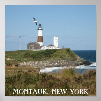 Montauk Lighthouse Seagull Love Poster
