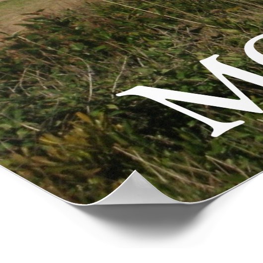 MONTAUK Lighthouse Seagull Love Poster (Hoek)