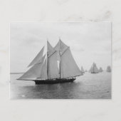 Montauk Sailships (juni.19.1897) Briefkaart (Voorkant)