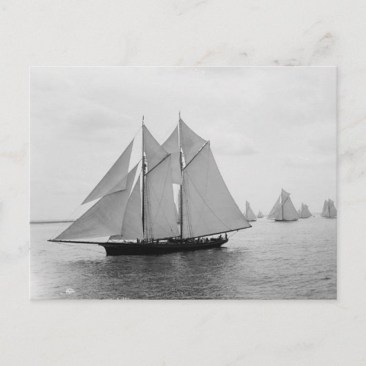 Montauk Sailships (juni.19.1897) Briefkaart (Voorkant)