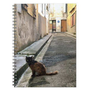 Montauk Salvage Co. / De Franse kat Notitieboek