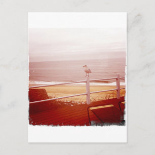 Montauk Seagull Love 3.0 Briefkaart