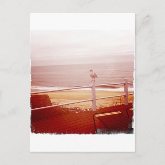 Montauk Seagull Love 3.0 Briefkaart (Voorkant)