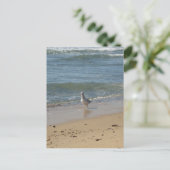 Montauk strand seagull love briefkaart (Staand voorkant)