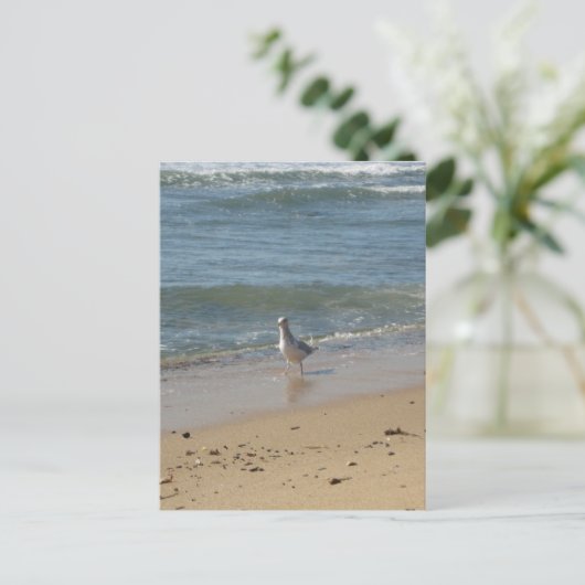 Montauk strand seagull love briefkaart (Staand voorkant)