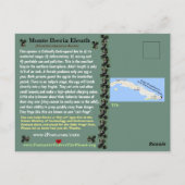 Monte Iberia Eleuth - een bedreigde regenkikker -~ Briefkaart (Achterkant)