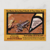 Monte Iberia Eleuth - een bedreigde regenkikker -~ Briefkaart (Voorkant)