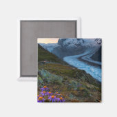 Monte Rosa Glacier | Zwitserland Magneet (Voorkant / Achterkant)