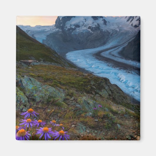 Monte Rosa Glacier | Zwitserland Magneet (Voorkant)