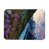 Monte Rosa Glacier | Zwitserland Magneet (Horizontaal)