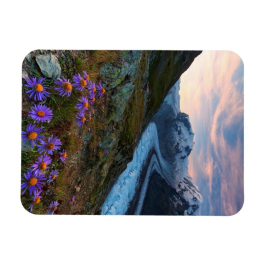 Monte Rosa Glacier | Zwitserland Magneet (Horizontaal)