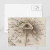 Monte Vesuve Briefkaart (Voorkant / Achterkant)