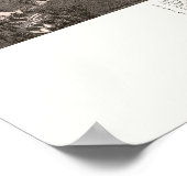 Monteer Vernon, IL Panorama Map - 1881 Poster (Hoek)