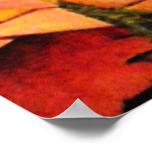 Montefiore Windmill Poster (Hoek)