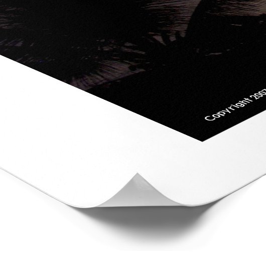 Montego Bay Sunrise Poster (Hoek)