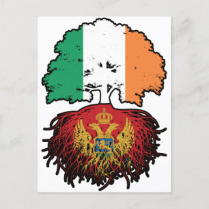 Montenegro Montenegrin Irish Ireland Tree Roots Briefkaart