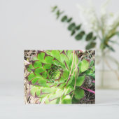 Montepulciano Vino Nobile, Italië Briefkaart (Staand voorkant)