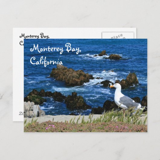 Monterey Bay, Briefkaart (Voorkant / Achterkant)